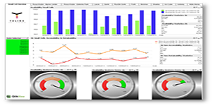 Report Qlikview